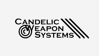 Полноценный логотип организации.