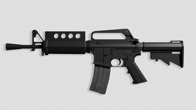 Карабин CWS model 51 (Армейское название ARC - A1)